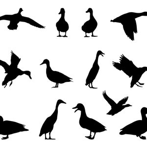 Duck SVG Bundle, PNG, Duck cut file for Cricut, Silhouette, Cameo, Duck Clipart, Duck Vector, Duck Cuttable File, Duck Hunting Svg, Bird Svg