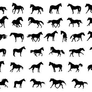 Horse SVG Bundle, PNG, Horses Svg, Farm Svg, Horse Clipart, Horse Silhouette, Horse Vector, Horse Lover, cut files Cricut, Cameo
