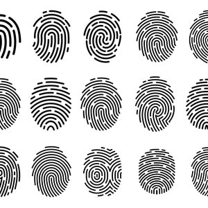 Fingerprint SVG Bundle, PNG - Fingerprint Vector, Fingerprint Silhouette, Thumbprint Svg, Cut files for Cricut & Silhouette