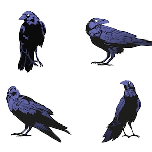 Raven SVG Bundle, PNG, Crow Svg, Clipart, Silhouette, Vector, cut files for Cricut, Cameo, Printable, Raven Design, Crow Cutting File