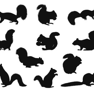 Squirrel SVG Bundle, PNG, Squirrel Clipart, Squirrel Vector, Silhouette, fichiers de coupe pour Cricut, Silhouette
