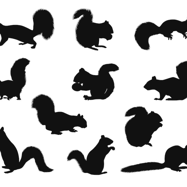 Squirrel SVG Bundle, PNG, Squirrel Clipart, Squirrel Vector, Silhouette, cut files for Cricut, Silhouette