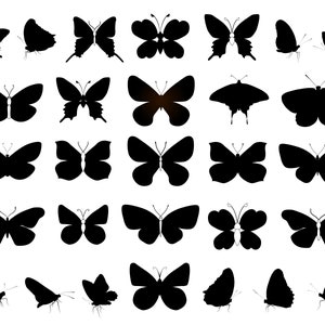 Schmetterling Silhouette SVG, PNG, Schmetterling Svg, Schmetterling Clipart, Schmetterling Plotterdatei für Cricut, Silhouette, Cameo, Sofort Download