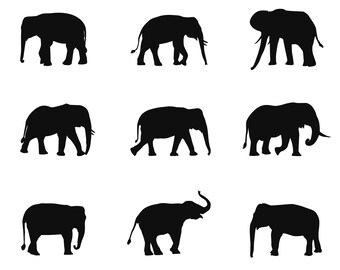 Elephant SVG Bundle, PNG - Elephant Png, Elephant Clipart, Animal Svg, Elephant Vector, cut Files, Cricut, Silhouette