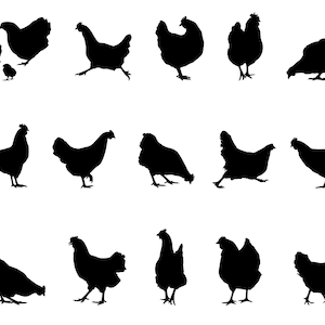 Chicken SVG Bundle, PNG, Chicken Silhouette Svg, Chicken Clipart, fichier découpé pour Cricut, Silhouette, Cameo, Vector, Téléchargement numérique