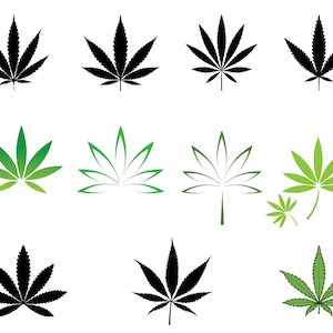 Pode incluir: Um conjunto de 10 ilustrações de folhas de cannabis pretas e verdes. As folhas são de vários estilos e tamanhos, incluindo uma única folha, um grupo de folhas e uma folha com um caule.