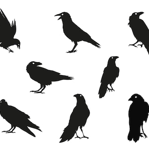 May include: Silhouettes of eight black crows in various poses, including flying, perched, and looking to the side.