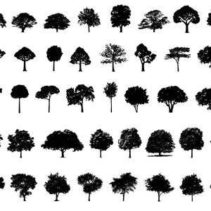 May include: A collection of 40 black silhouette images of various tree shapes, including deciduous and coniferous trees.