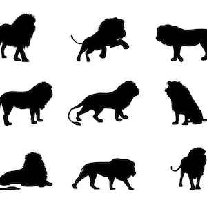 Lion SVG Bundle, PNG, Lion Silhouette, Lion Clipart, cut file for Cricut, Cameo, Vector, Wildlife SVG