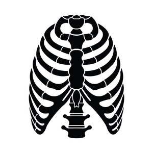 Rib Cage SVG, PNG - Medical Student Svg, Heart Rib Cage Svg, Human Skeleton Svg, Cut Files For Cricut & Silhouette