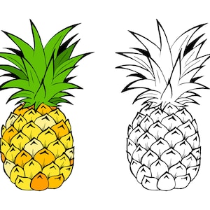 Pineapple SVG, PNG - Summer Svg, Pineapple Clipart, Fruit Svg, Tropical Svg, Cut Files for Cricut & Silhouette