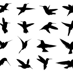 Pacote Hummingbird SVG, PNG, Hummingbird Silhouette Svg, Hummingbird Clipart, arquivo de corte para Cricut, Silhouette, Cameo, Bird Svg