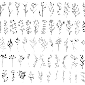 Pacote SVG de flores silvestres, PNG, Svg de flores silvestres, Svg de flores desenhadas à mão, Svg de buquê, arquivos cortados para Cricut, Silhueta, Clipart de flores