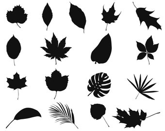 Leaves SVG Bundle, PNG, Leaf Svg, Fall Svg, Autumn Svg, Leaf Silhouette, cut files for Cricut, Cameo, Clipart