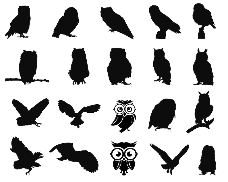 Owl SVG Bundle PNG Owl Eyes Svg Bird Svg Owl Clipart Owl Etsy