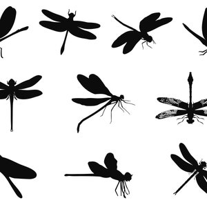 Könnte beinhalten: Silhouetten von zehn Libellen in verschiedenen Posen, alle nach vorne gerichtet. Die Libellen sind schwarz vor weißem Hintergrund.