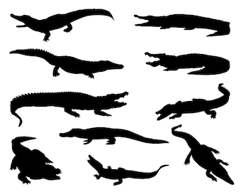 Crocodile SVG Bundle, PNG, Alligator Svg, cut files for Cricut, Silhouette, Cameo, Crocodile Clipart, Crocodile Vector