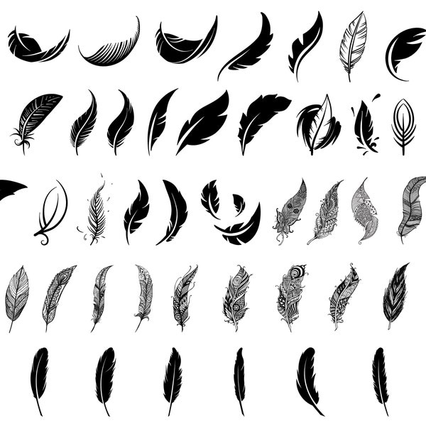 Feather Bird Svg - Etsy