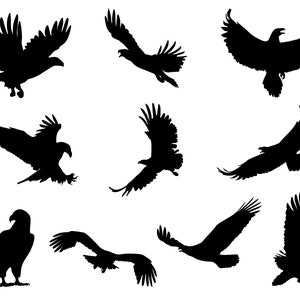 May include: Silhouettes of nine eagles in various poses, including flying, landing, and perched. The eagles are all black against a white background.