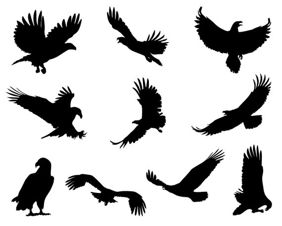 Eagle SVG Bundle, Eagle Silhouette SVG, PNG, Eagle cut files for Cricut, Bald Eagle, American Eagle Svg, Silhouette, Cameo