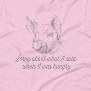 Hungry Schwein Shirt, lustiges Shirt, Hangry Shirt