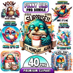 40 imágenes prediseñadas de pájaros divertidos, ilustraciones de pájaros extravagantes, pájaros extravagantes, imágenes prediseñadas de pájaros locos, caras de pájaros de dibujos animados lindos, pájaro divertido