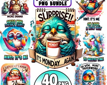 40 imágenes prediseñadas de pájaros divertidos, ilustraciones de pájaros extravagantes, pájaros extravagantes, imágenes prediseñadas de pájaros locos, caras de pájaros de dibujos animados lindos, pájaro divertido