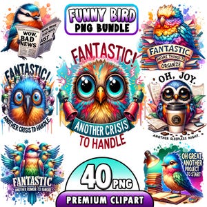 40 imágenes prediseñadas de pájaros divertidos, ilustraciones de pájaros extravagantes, pájaros extravagantes, imágenes prediseñadas de pájaros locos, caras de pájaros de dibujos animados lindos, pájaro divertido