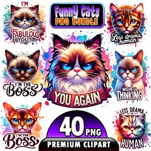 Könnte beinhalten: Ein digitales Clipart-Paket mit 40 lustigen Katzenillustrationen. Die Illustrationen zeigen Katzen mit verschiedenen Gesichtsausdrücken und Texten wie "Ich bin der Boss" und "Weniger Drama, Mensch".