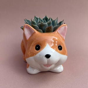 May include: A ceramic planter shaped like a corgi dog, with orange and white fur, black eyes, and a smiling face. The planter is filled with a green succulent plant. The background is a solid, muted pink.