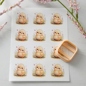 May include: A sheet of stickers featuring illustrations of cute yellow chicks surrounded by flowers and butterflies. A light orange square cookie cutter is next to the stickers. The stickers are on a white background.