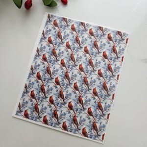 May include: A white sheet of paper with a repeating pattern of red cardinals perched on blue branches. The cardinals are facing different directions and have a realistic appearance.