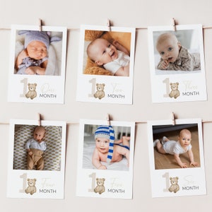 Foto del primo anno, foto del primo compleanno di Beary, banner fotografico mensile, primo compleanno di Beary