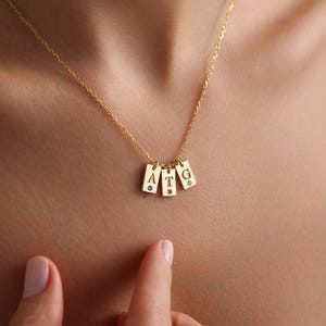 Gold Personalized Birthstone Initial Tag Necklace, Engraved Letter Jewelry, Custom Tiny Tag Charm, Necklaces for Women & Mom, Christmas Gift