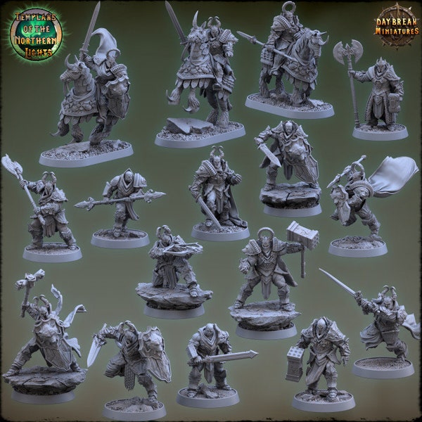 16 Pc  Templars of the Northern Lights / warrior /paladin / miniature / D&D / table top RPG / Daybreak Miniatures / wargaming s