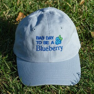 May include: A pale blue baseball cap featuring the embroidered text "BAD DAY TO BE A Blueberry" in blue. A small blueberry and leaf design is embroidered next to the text. The cap is resting on green grass.