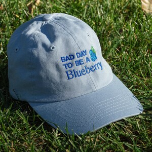 May include: A pale blue baseball cap with the embroidered text "BAD DAY TO BE A Blueberry" in blue. The cap has a curved peak and is set on green grass.