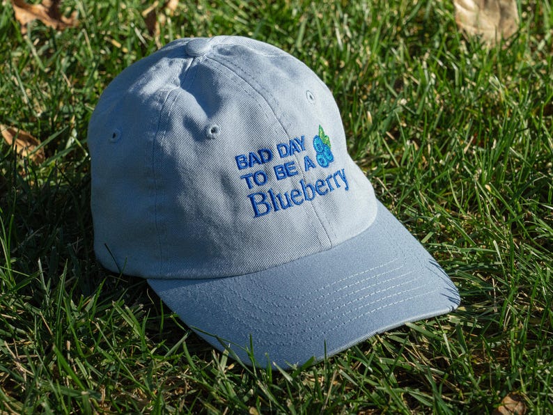 May include: A pale blue baseball cap with the embroidered text "BAD DAY TO BE A Blueberry" in blue. The cap has a curved peak and is set on green grass.