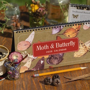 2026 Butterfly & Moth Desk Calendar Unique Nature Gift for Her or Him Aesthetic Insect Desk Planner Art Calendar for Office or Home Decor