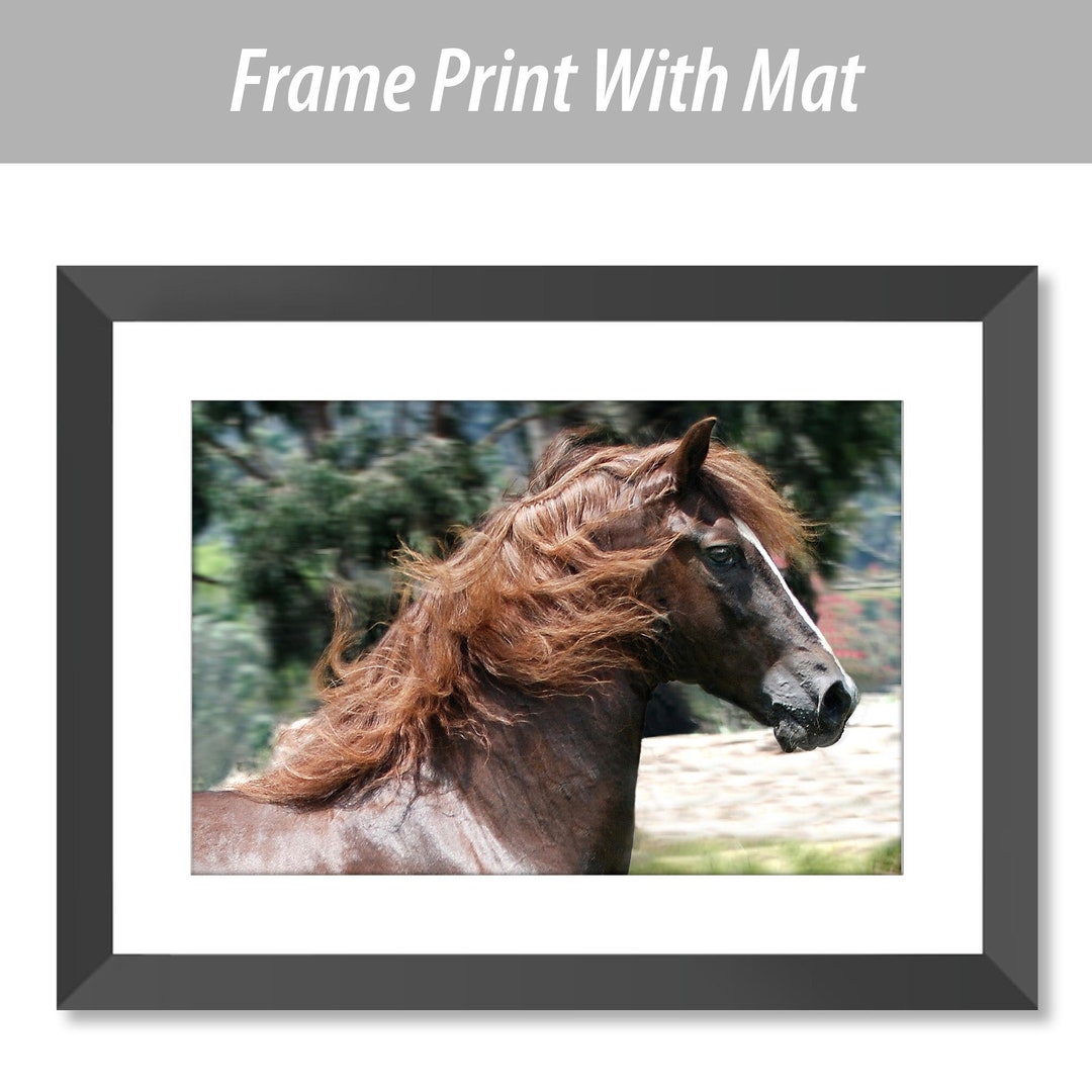 Horse Head Wall Art Equine Wall Art Horses Photography Etsy