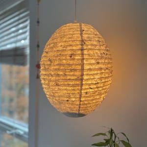 Handmade Lokta paper lamp shade with bamboo frame – eco-friendly Japanese-style lighting. Pendant Pressed with Petals variation paper lantern – Asian-inspired handcrafted light. Hanging Handmade Nepalese Lokta Paper Lamp Shade with Bamboo Frame - Sustainable, Durable, Lightweight. Minimalist Asian-Inspired Design. Embossed Petals. Perfect for Home Décor. Unique Shapes: Cylindrical, Abstract, Accordion Hexagon, Globe.