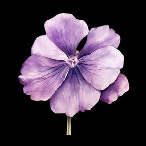 21 lila violett Aquarell Clipart - elegantes Blumen digitaler Download für Handwerk, Einladungen, Scrapbooking & kreative Projekte