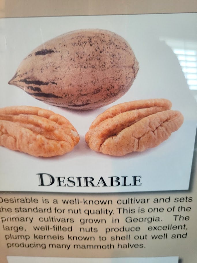 2023 Crop Inshell Desirable Pecans 5lb Bag Grown FREE SHIPPING