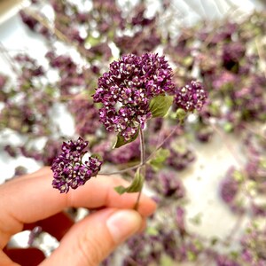 8 pezzi di origano viola essiccato, fiori commestibili, fiori secchi, torta nuziale, decorazione di torte, torta di fiori