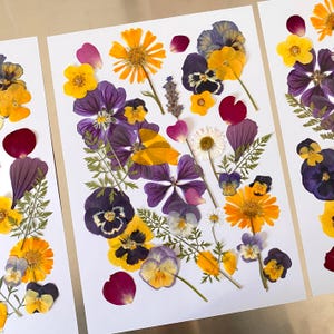 35 fiori pressati commestibili, colorati, per torte, fiori commestibili, fiori secchi, torta nuziale, decorazione di torte, torta di fiori