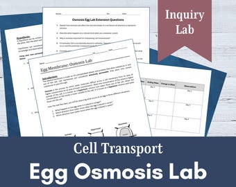 Cellular Transport Egg Osmosis Lab | Printable and Digital | Biology and Life Science Inquiry Experiment