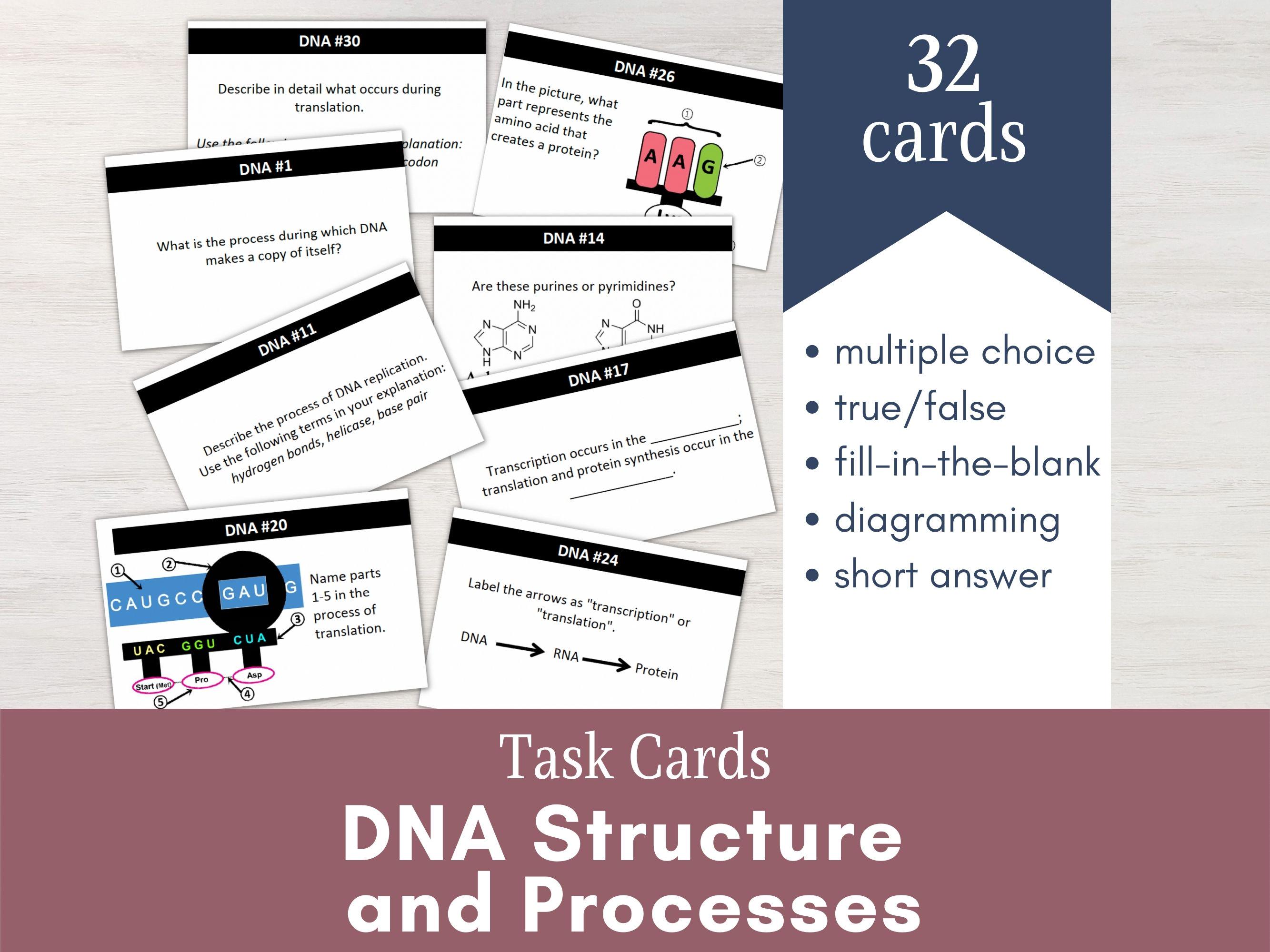 DNA Processes Task Cards | Biology Review Activity (PDF) - Etsy