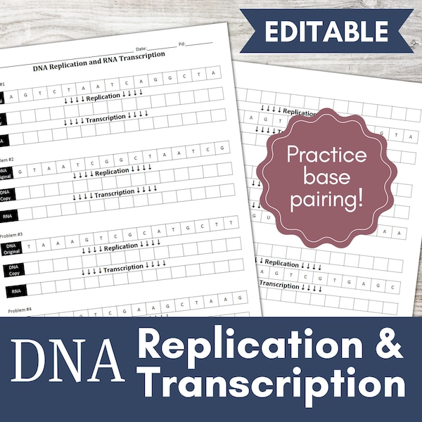 DNA Replication and Transcription Worksheet | Biology Practice (PDF and .docx)
