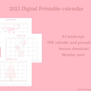 Printable 2025 Monthly Calendar 2025 PDF Calendar Pink Coquette Calendar Instant Download Calendar