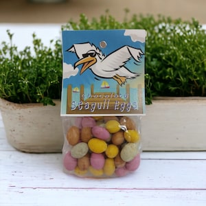May include: A bag of chocolate seagull eggs. The bag features a cartoon seagull and the words "chocolate seagull eggs".